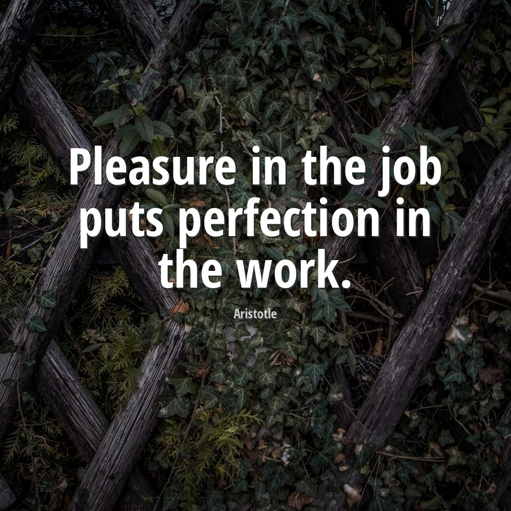 Aristotle Quote Pleasure In The Job Puts Perfection In The Work Quoatable 2675